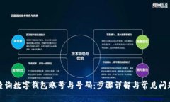 如何查询数字钱包账号与号码：步骤详解与常见