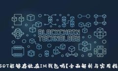   USDT能够存放在IM钱包吗？全面解析与实用指南