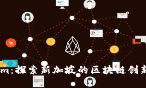 Token.im：探索新加坡的区块链创新与实践