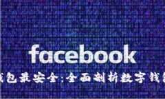 哪种数字钱包最安全：全面剖析数字钱包的安全