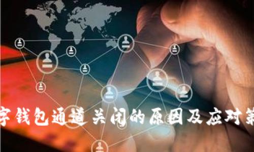 数字钱包通道关闭的原因及应对策略