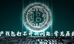 解决数字资产钱包打不开的问题：常见原因与解